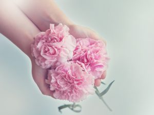 three rose